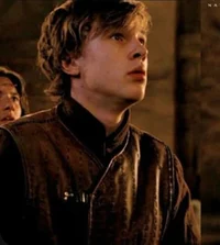 Peter pevensie 