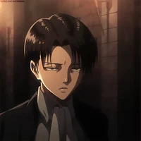 Captain Levi 