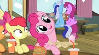 My talking pony