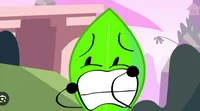 Celestial Leafy