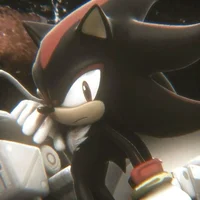 Shadow T Hedgehog