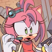 Amy Rose