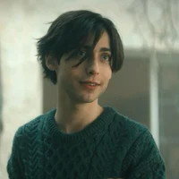 Aidan gallagher 