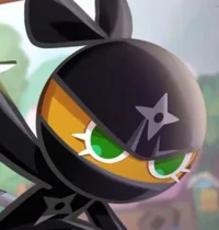 Ninja Cookie