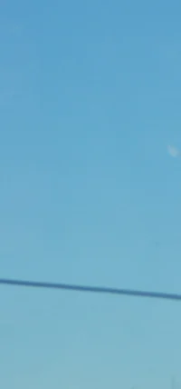 Dandy - DANDYS WORLD