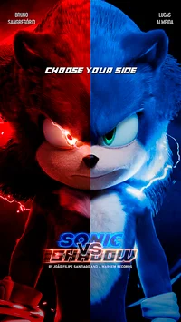 Sonic vs Shadow