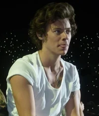 Harry styles