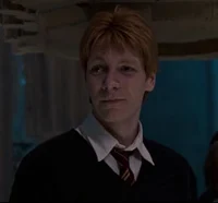 Fred G Weasley 
