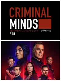 Criminal Minds - 911