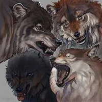 Wolf Pack-AU