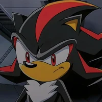 Shadow the hedgehog 