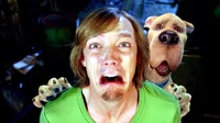 Shaggy