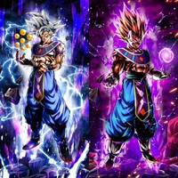 Goku and Vegeta Gods