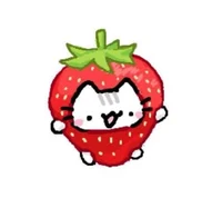 Strawberry cat