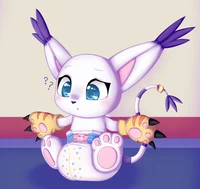 A Diapered Gatomon
