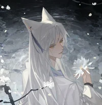 The kitsune