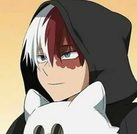 Shoto Todoroki