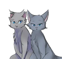 Mistyfoot x Stonefur