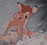 05 - 밤비