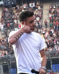 Liam payne 