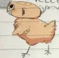 Chicken shelly