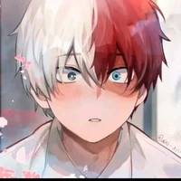 Shoto Todoroki 