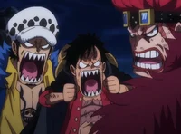 Law Luffy Kid