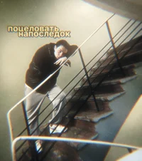 ФрамеТамер