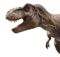 Rexy