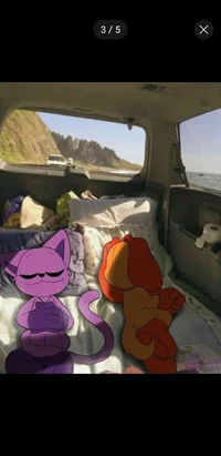 Player cat nap dog d