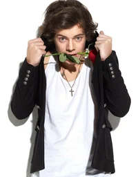 harry styles - 2012