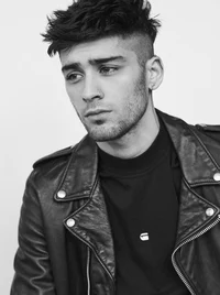 Zayn malik 2016