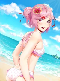 Plage de Natsuki 