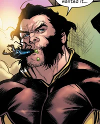 Wolverine 