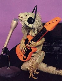 Musical Iguana