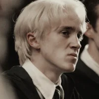 5th year Draco 