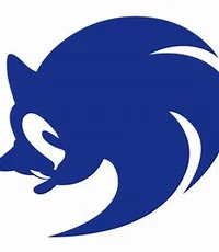 Team Sonic