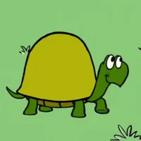 Newton the Turtle