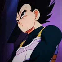 Vegeta -DBS-