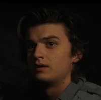 Steve Harrington