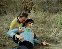 Kirk-Spock Injured