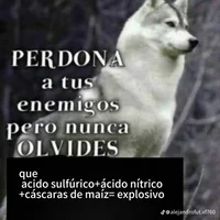 Perro