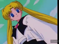 Usagi daisy
