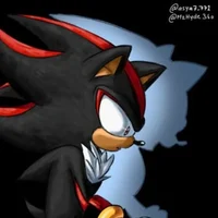 Shadow or Sonic