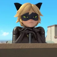 chat noir
