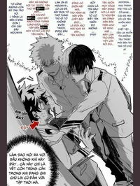 Бакуго и Шото