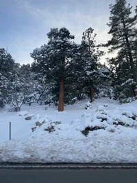 Me n my irl friends4