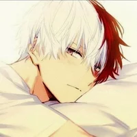 Todoroki 