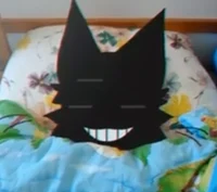 Shadow Hoshi