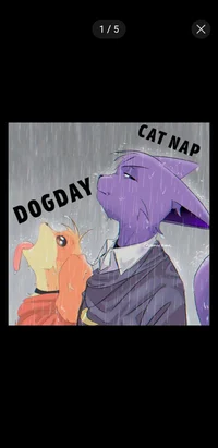 Cat nap y dog day